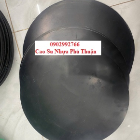 CAO SU CHỐNG CHỊU LỰC KÊ HÀNG